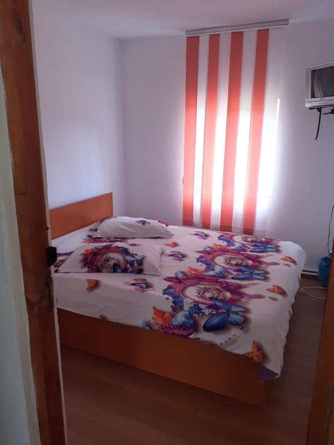 Отель Casa Denisa Vidraru Transfgarasan Capatineni-Ungureni Экстерьер фото