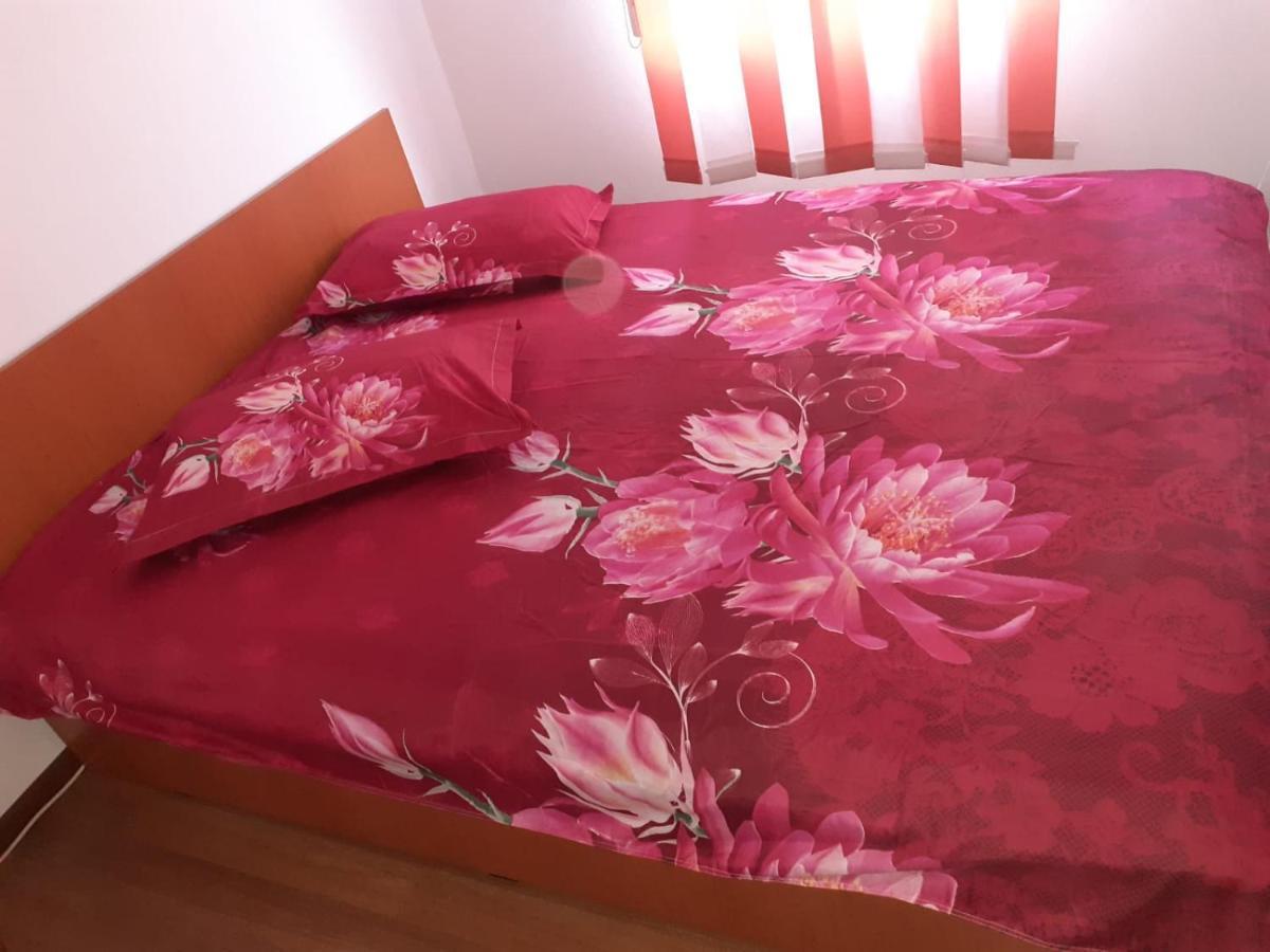 Отель Casa Denisa Vidraru Transfgarasan Capatineni-Ungureni Экстерьер фото