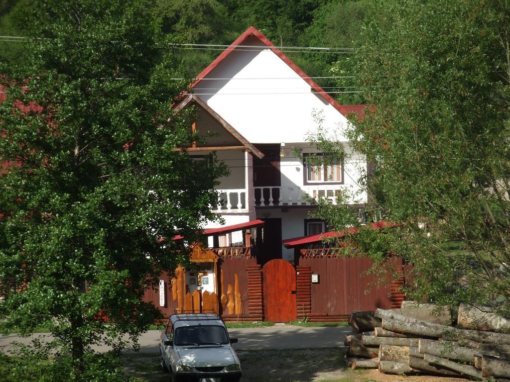 Отель Casa Denisa Vidraru Transfgarasan Capatineni-Ungureni Экстерьер фото